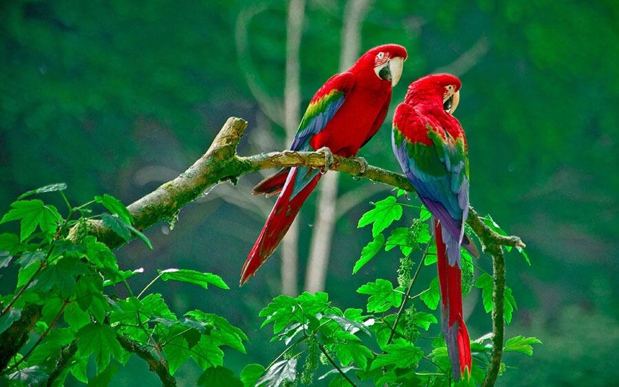 Landscape of Costa Rica, accessible travel destination