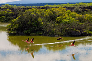 Landscape of Ecuador, accessible travel destination