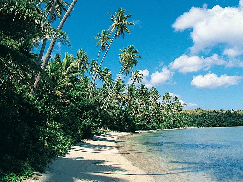 Beach with palm trees in Galápagos National Park